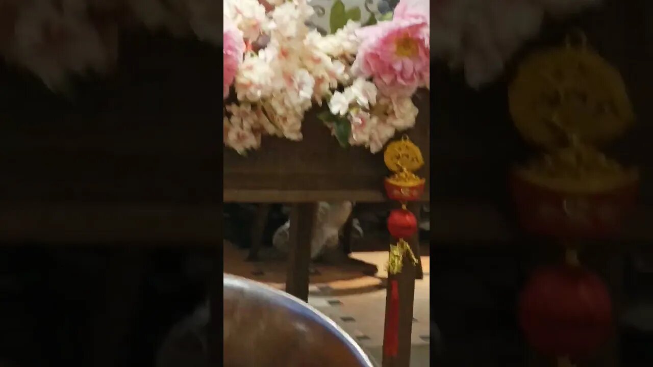 OCTOBER COVID-19 JANUARY OOTD 😂