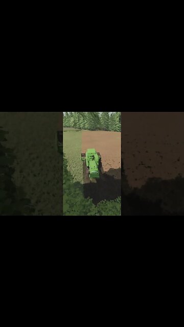 Canola Harvest FS22 #shorts
