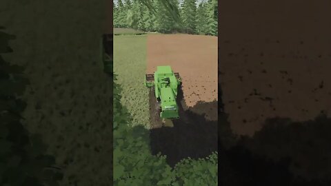 Canola Harvest FS22 #shorts