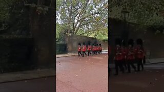 The kings Guards march out of Clarence house #buckinghampalace