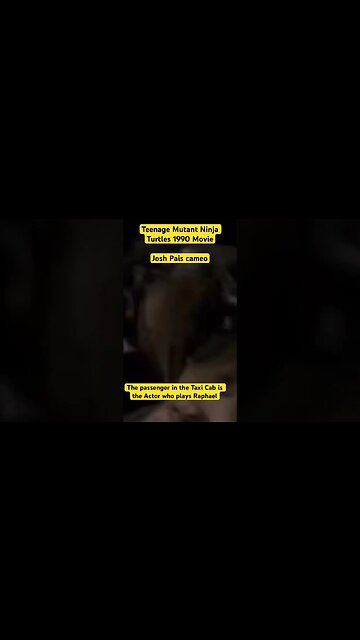 Teenage Mutant Ninja Turtles 1990 movie Josh Pais (Raphael) cameo #kaosnova #tmnt1990