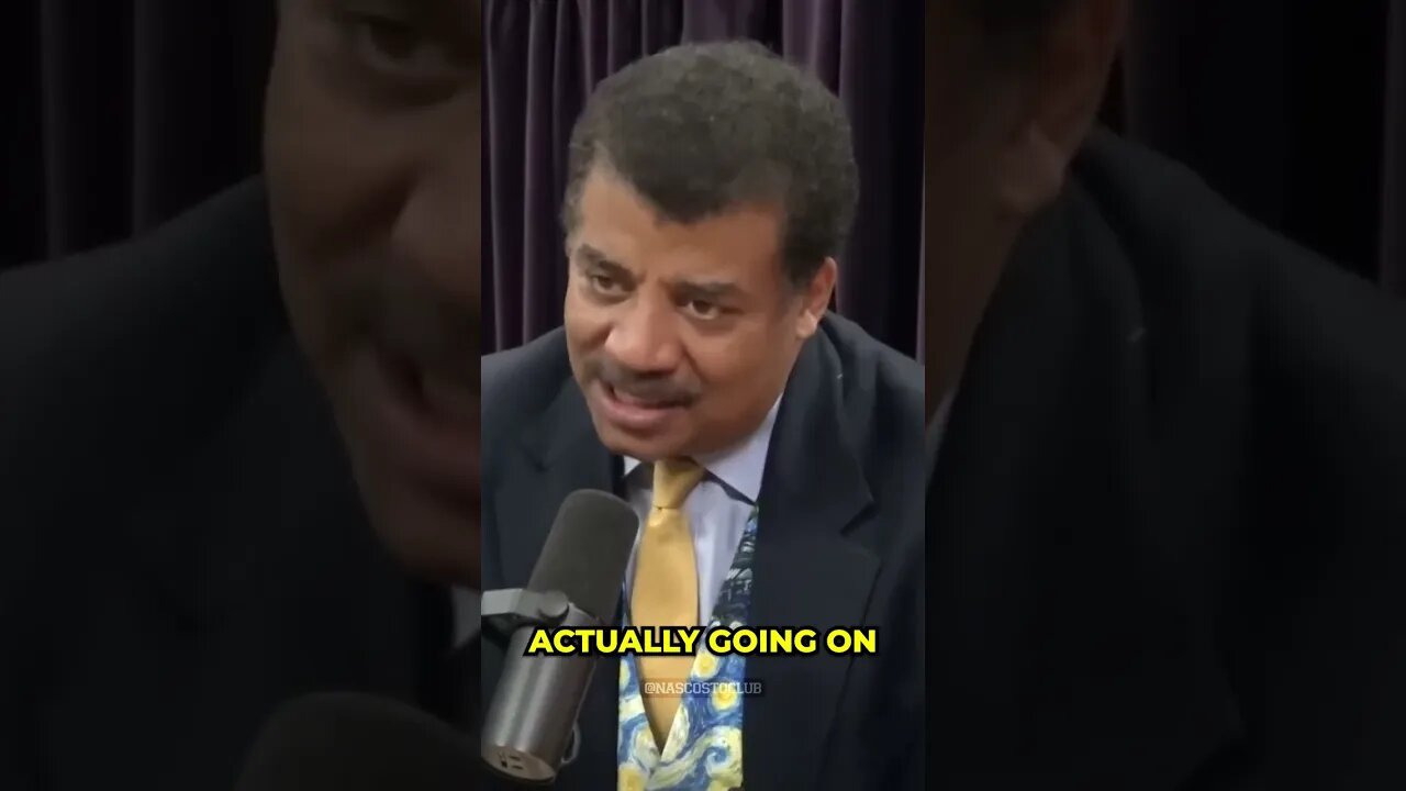 WHAT is the PURPOSE of ART!? Neil deGrasse Tyson explains 🎨🖼️ #shorts