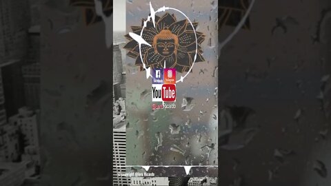 Meditação Consciente #shorts