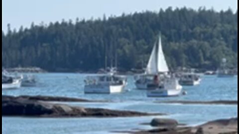 Belfast Maine Harbor