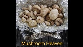 How to cook Italian Mushrooms