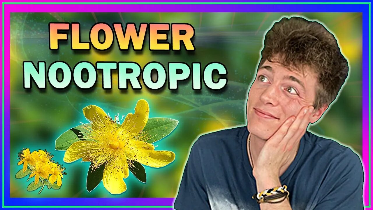 𝗦𝘁. 𝗝𝗼𝗵𝗻'𝘀 𝗪𝗼𝗿𝘁 - A Flower With Healing Powers || Natural Remedy for Anxiety!