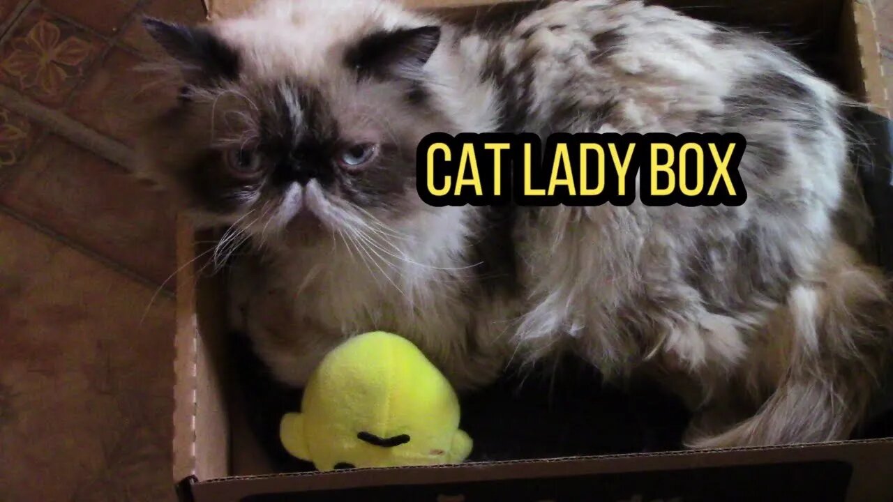 Cat Lady Box (Beautiful Day) March 2022 😻🌺