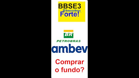 bbse3, itau, ambev, petr4 - otimas oportunidades na bolsa b3