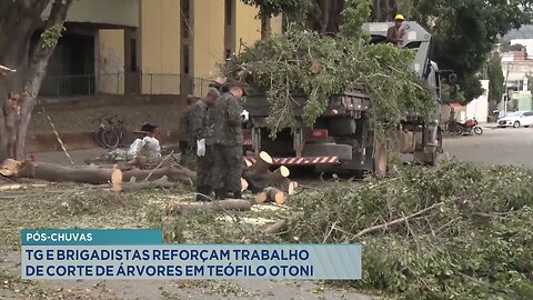 Pós-chuvas: TG e Brigadistas reforçam trabalho de corte de árvores em Teófilo Otoni.
