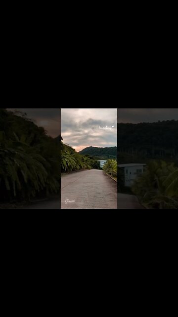 Peaceful shots for the day. Enjoy the nature while you can.