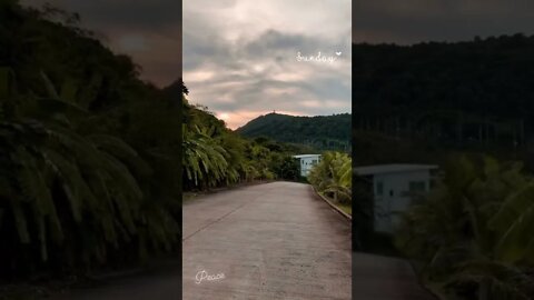 Peaceful shots for the day. Enjoy the nature while you can.