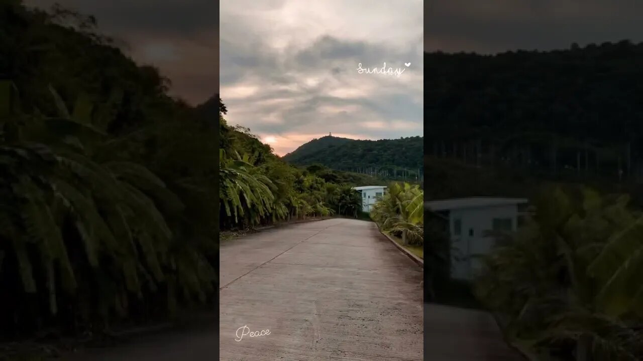 Peaceful shots for the day. Enjoy the nature while you can.