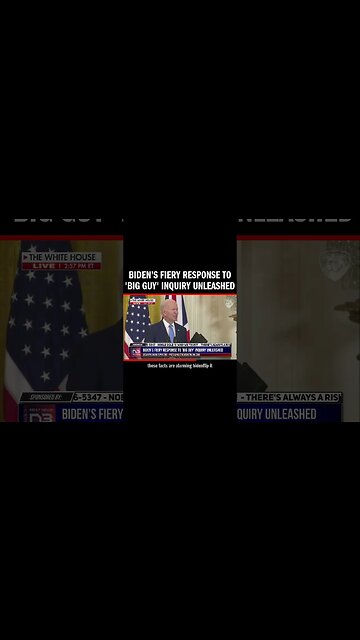 Biden's Fiery Response to 'Big Guy' Inquiry Unleashed