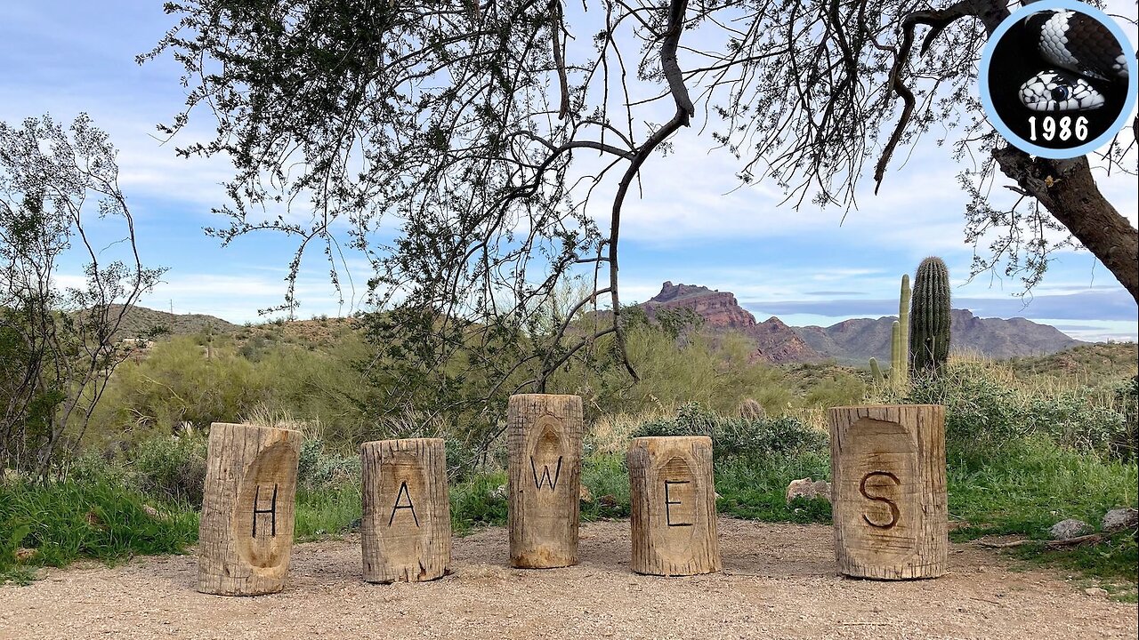 Hawes Trail System Hike