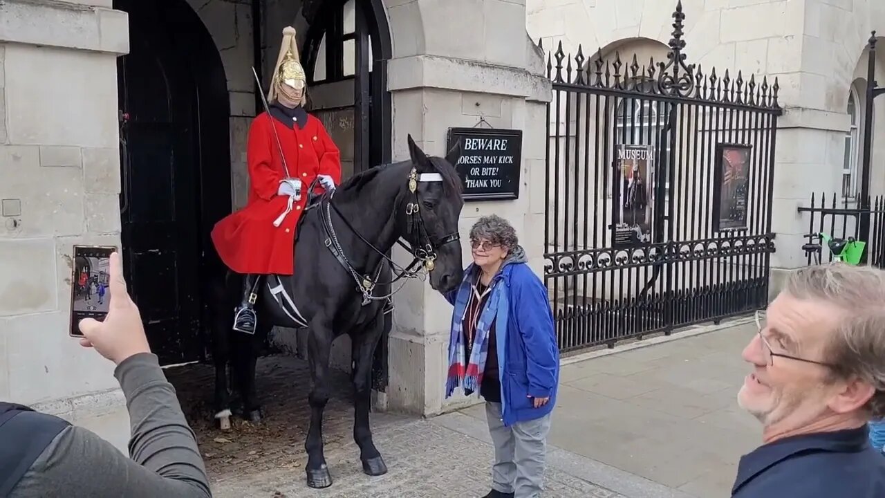 kissing the horse 2 November 2022 #horseguardsparade