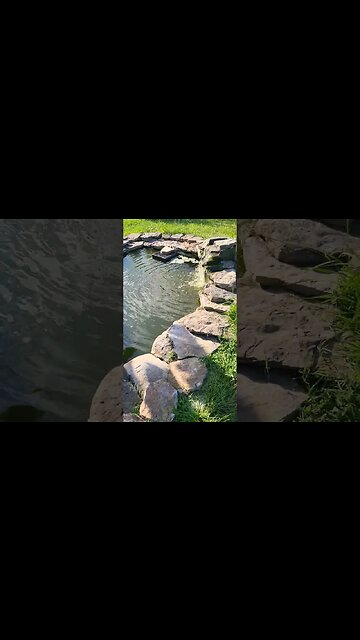 Daily Pond Chore For The Catfish