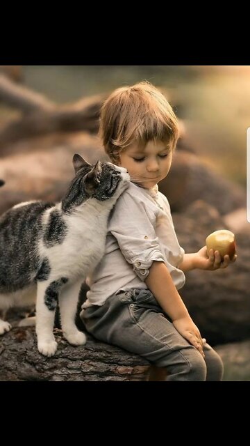 Funny Animal Videos 2022 😂 - Funniest Dogs And Cats Videos 😺 🐱🐶