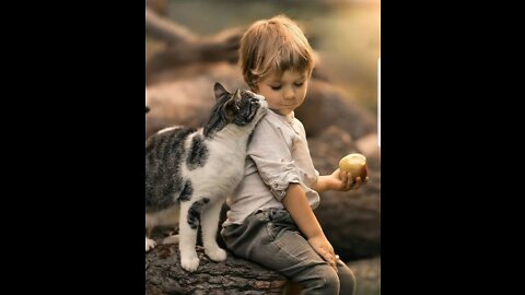 Funny Animal Videos 2022 😂 - Funniest Dogs And Cats Videos 😺 🐱🐶