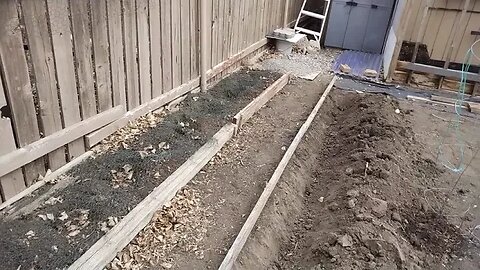 Planting potatoes in clay soil southern Alberta