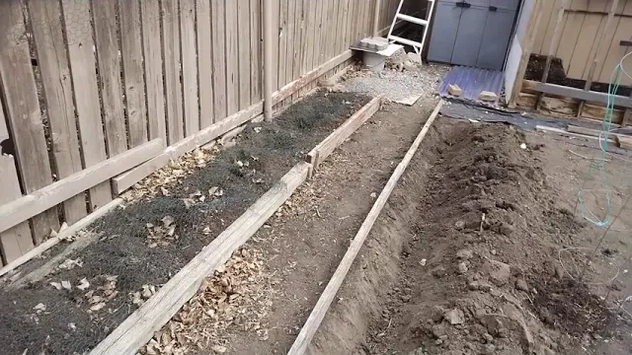 Planting potatoes in clay soil southern Alberta