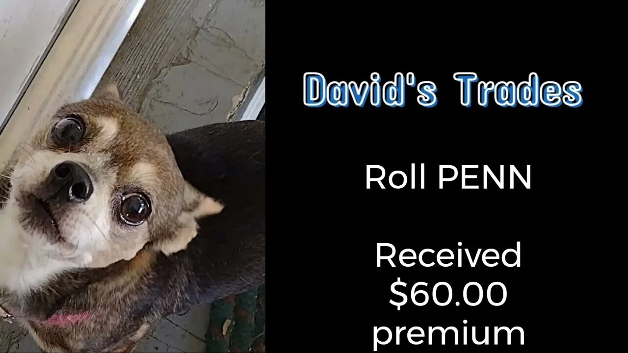 Rolled PENN Put and received $60.00.