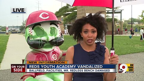 Vandals spraypaint Mr. Redlegs, damage facilities at Reds Youth Academy