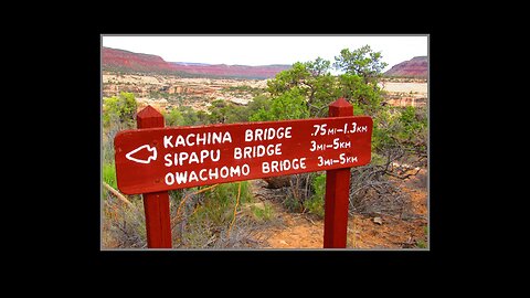 The Petroglyph at Kachina Bridge