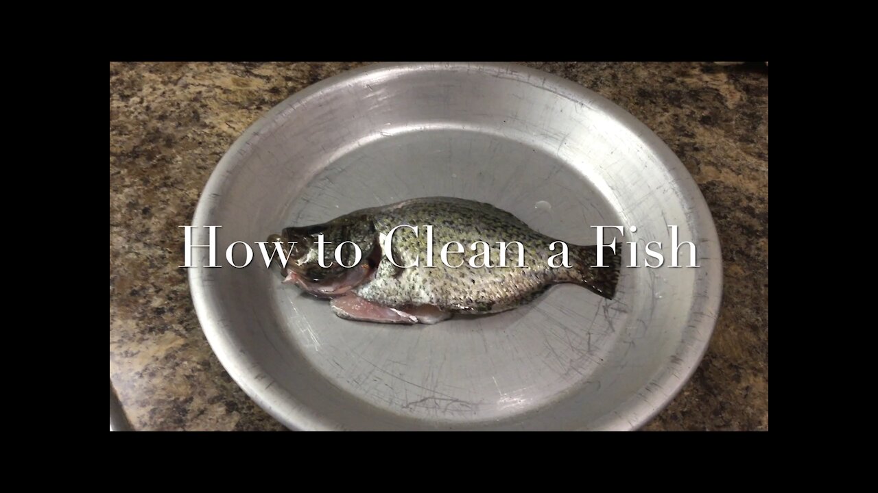 How to Clean a Fish 如何清理鱼