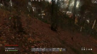 DayZ 1sk my first base