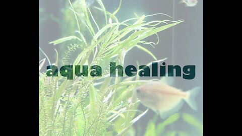 Aqua Healing vol.1 / Aquarium x Healing Music