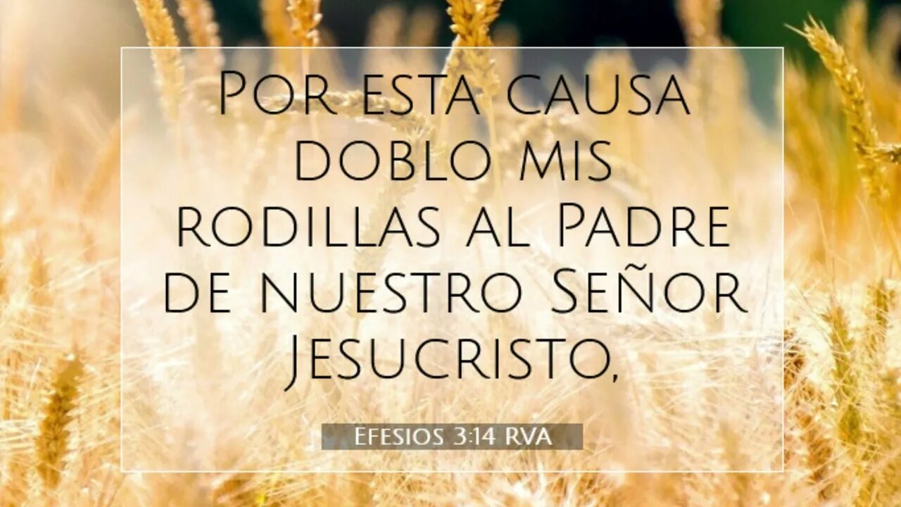 Arrodillémonos delante del Señor #devocional #devocionaldiario #jesuscristo