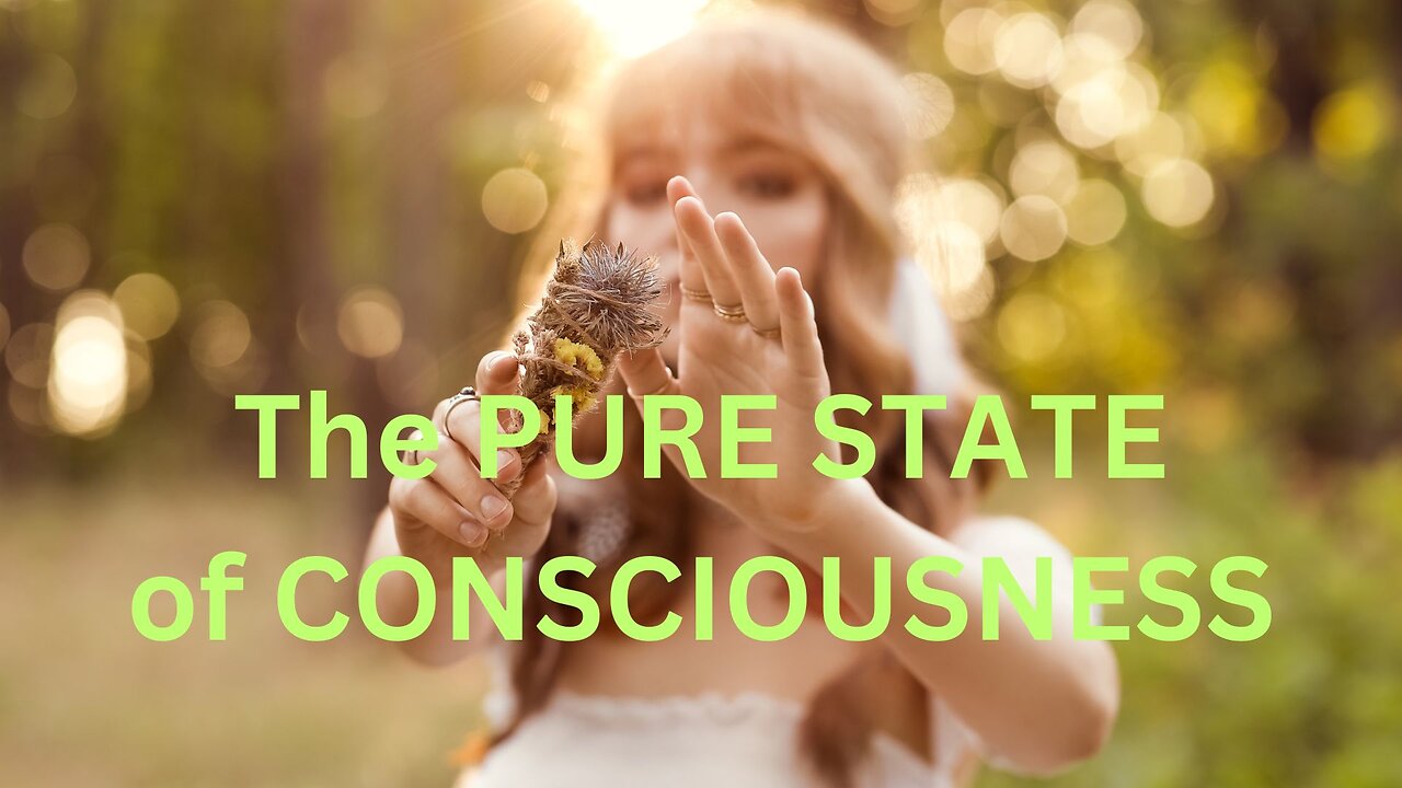 The PURE STATE of CONSCIOUSNESS ~ JARED RAND 11-26-24 #2393