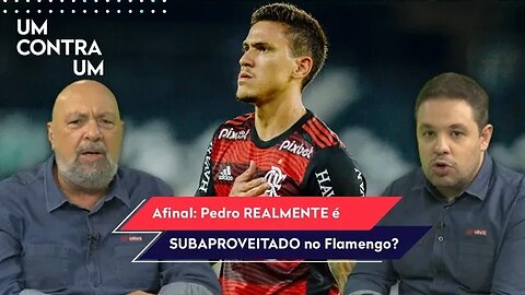 "Cara, no Flamengo, eu DARIA UM JEITO de..." Pedro é DESEJADO pelo Palmeiras e gera DEBATE!