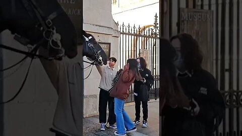 Don't poke the Horse #horseguardsparade