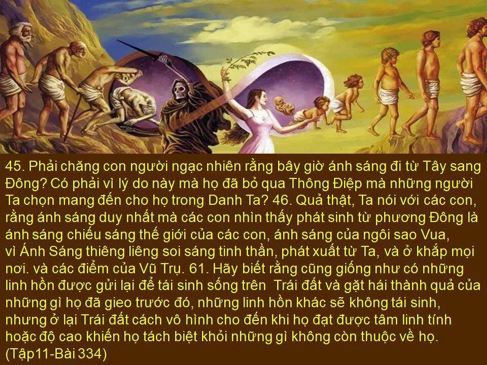 Sách SS Thật. T334 Lương Tâm là Đền Thờ bất khả xâm Phạm, nơi Ánh Sáng Thiên Chúa Phát Ra.