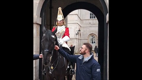 Did he offer the mint to the horse or the guard 😆 #horseguardsparade