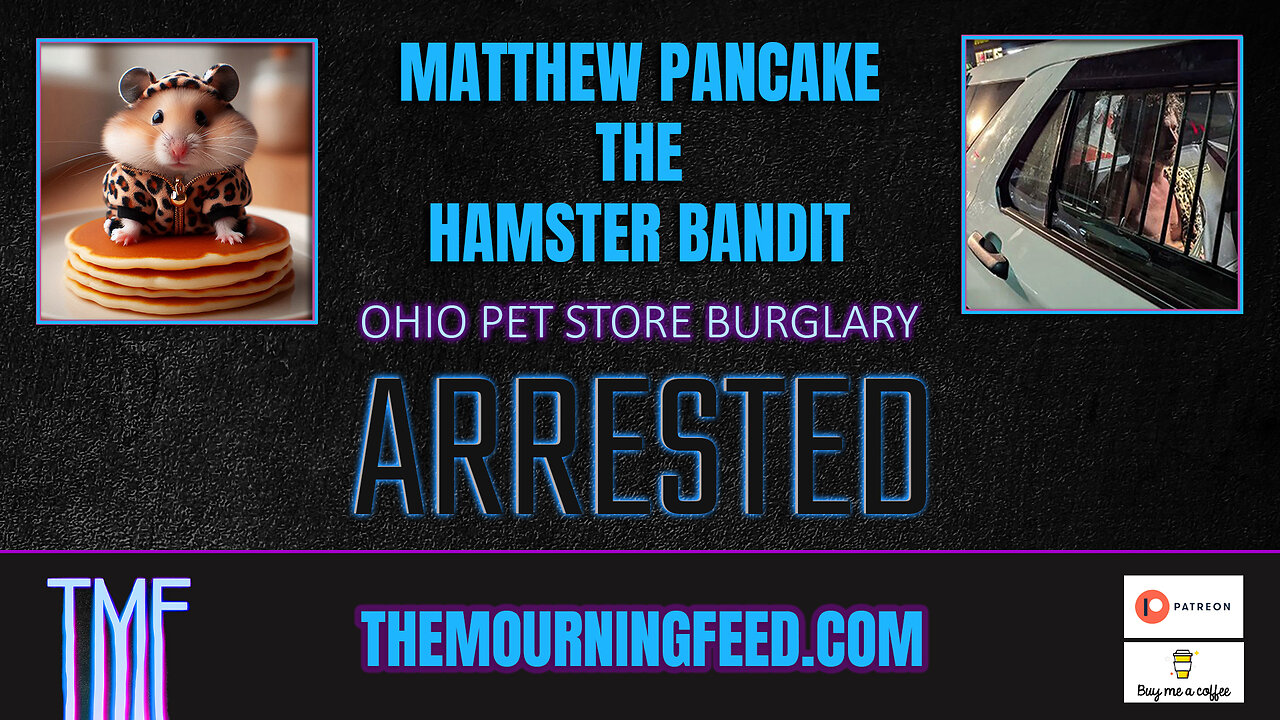 Matthew Pancake the hamster bandit