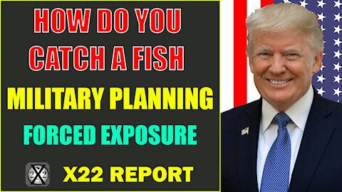 How Do You Catch A Fish- Military Planning, Forced Exposure, P-A-I-N - Ep. 2621b