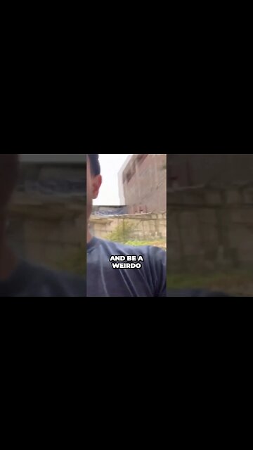 Discover the Unique World of Guinea Pigs Not Your Ordinary Pets