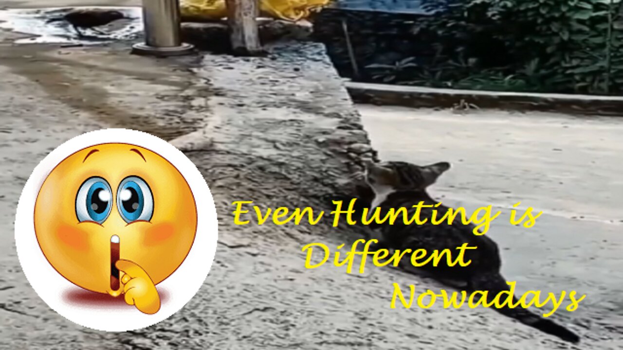 Even Hunting is Different Nowadays