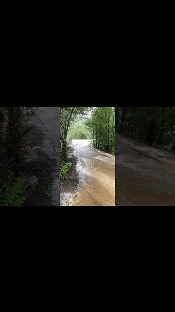 Hurricane Idalia Took out my Driveway! #hurricane #weathernews #theweatherchannel