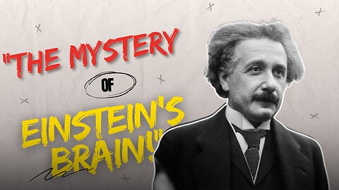 The Incredible Journey Of 'Elbert Einstein' | Story Video