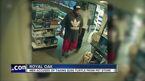 Men accused of taking $200 turtle from pet store