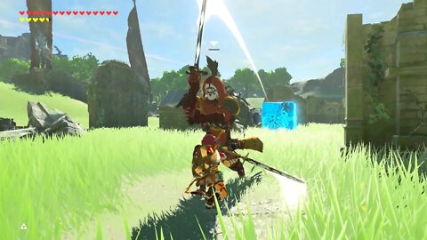 Breath of the Wild Master Mode 137