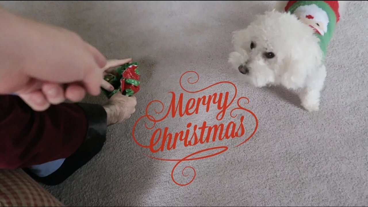 CHRISTMAS PRANK ON QUINCY!