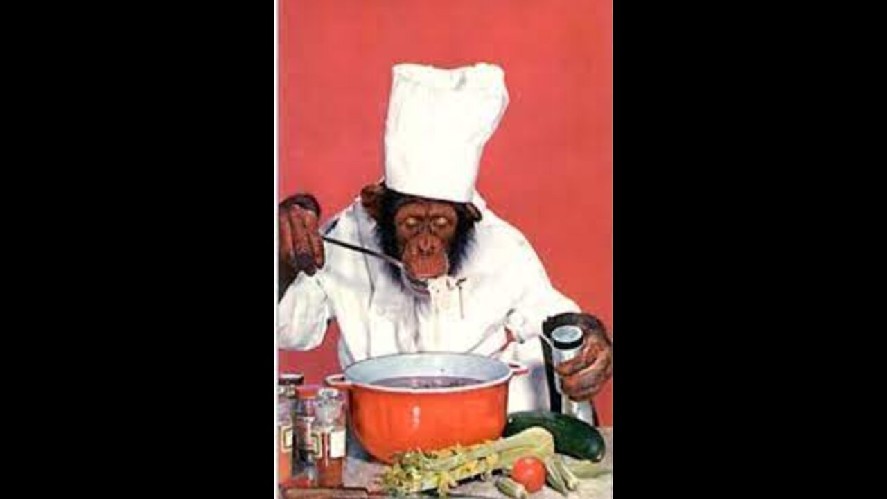 Funny and trained monkeys!!!