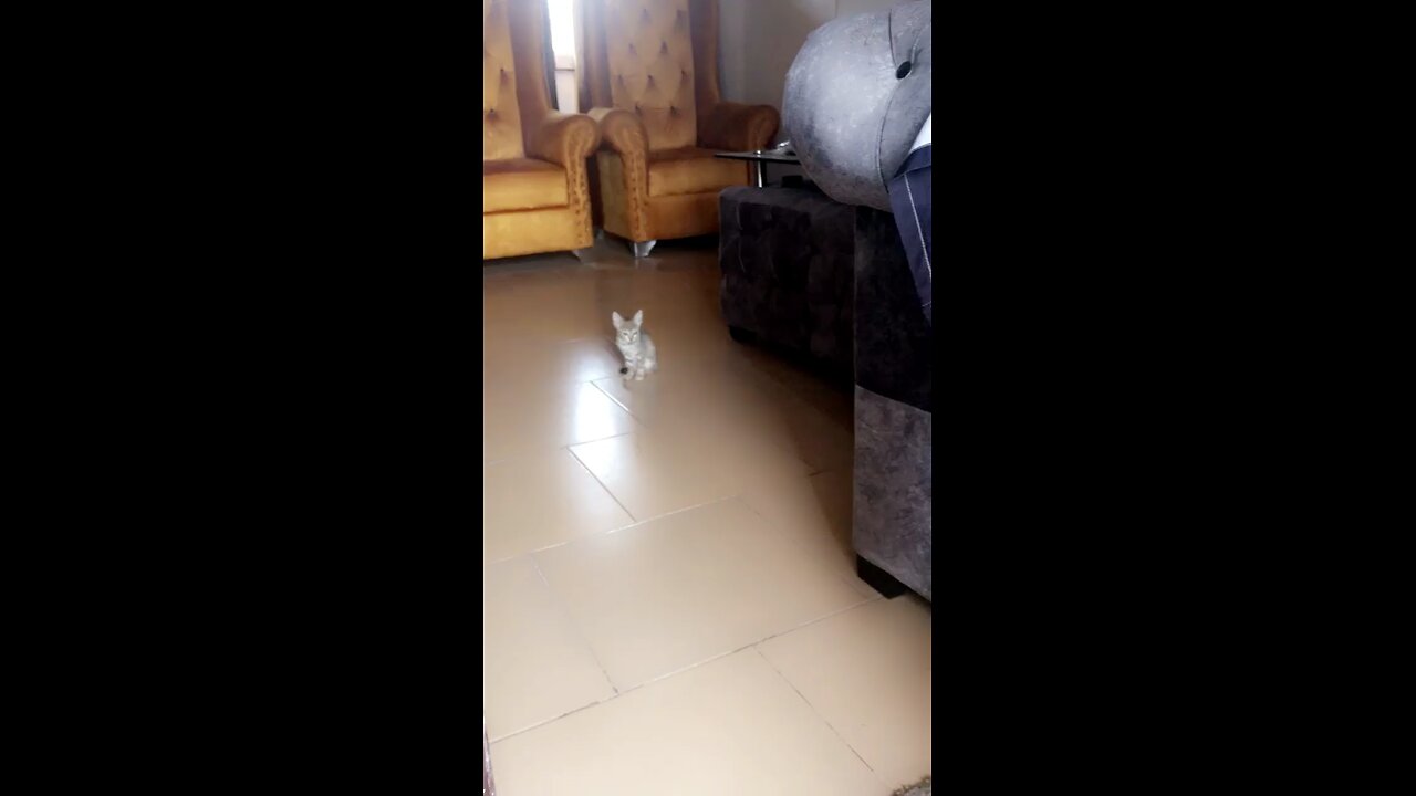 Olivia looking like a guard