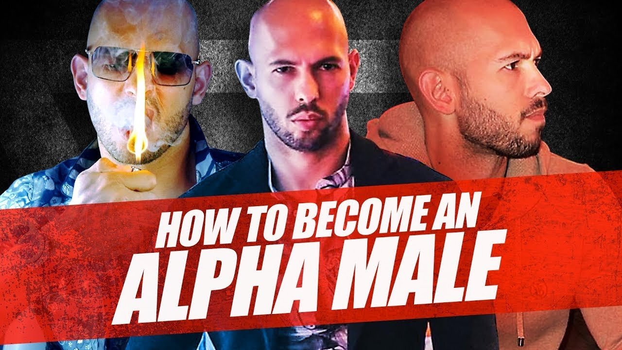 How to Be An ALPHA MALE Who Doesn't Give a F%$# With Andrew Tate