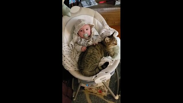 Gotta admit, this is pretty dang cute