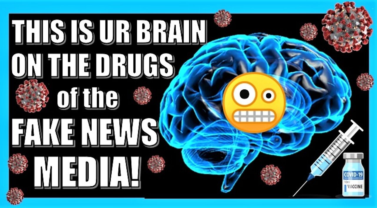 THIS is YOUR BRAIN on THE DRUGS (of the Fake News Media!)